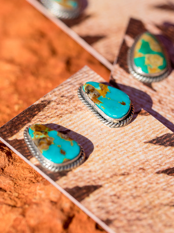 Sonoran Twist Earrings