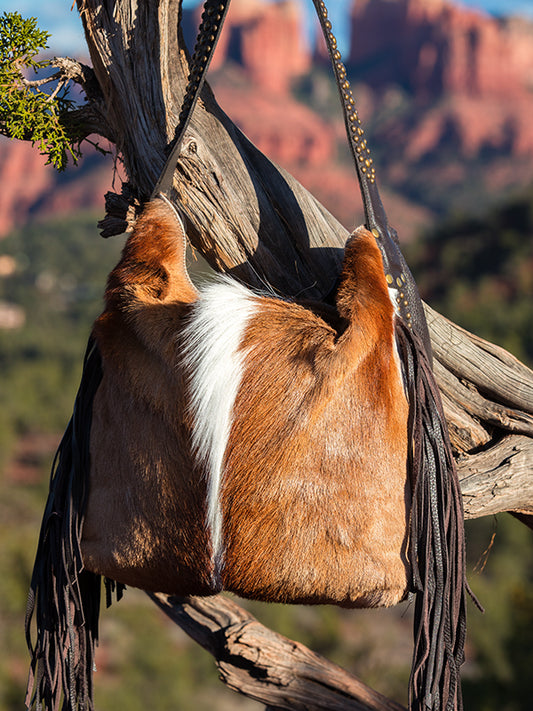 Antelope