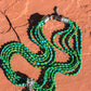 Sonoran Strands