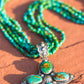 Sonoran Strands
