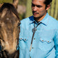 Buffalo Bolo