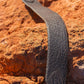 beautiful buffalo leather